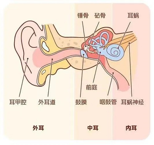 鼓膜穿孔不要怕！微創(chuàng)耳內(nèi)鏡來修補！